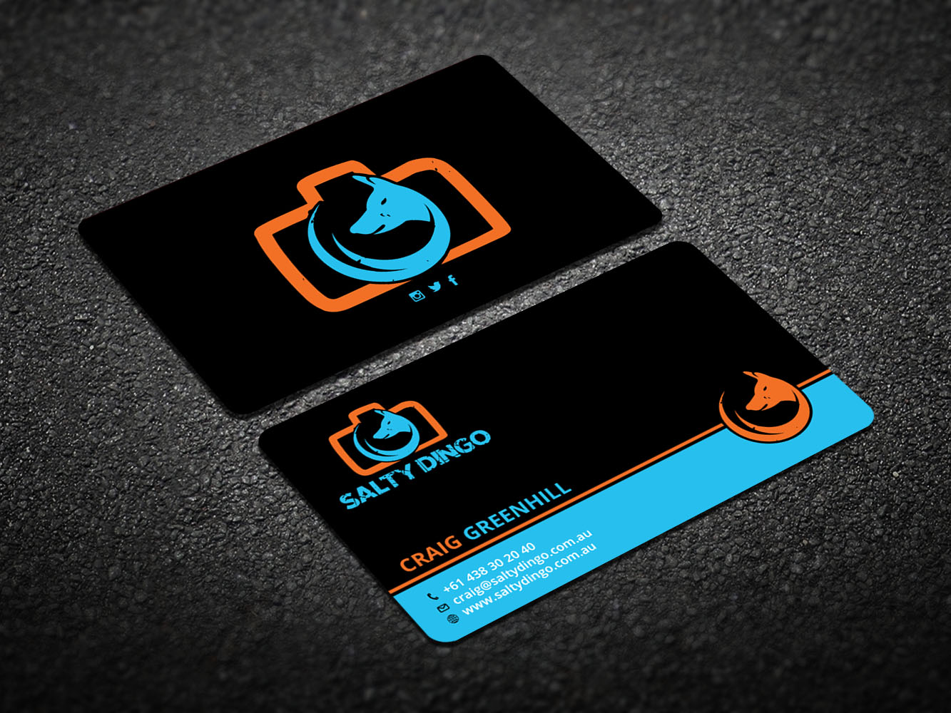 Design de Carte de Visite par Verified artistry pour Salty Dingo | Design #10105791