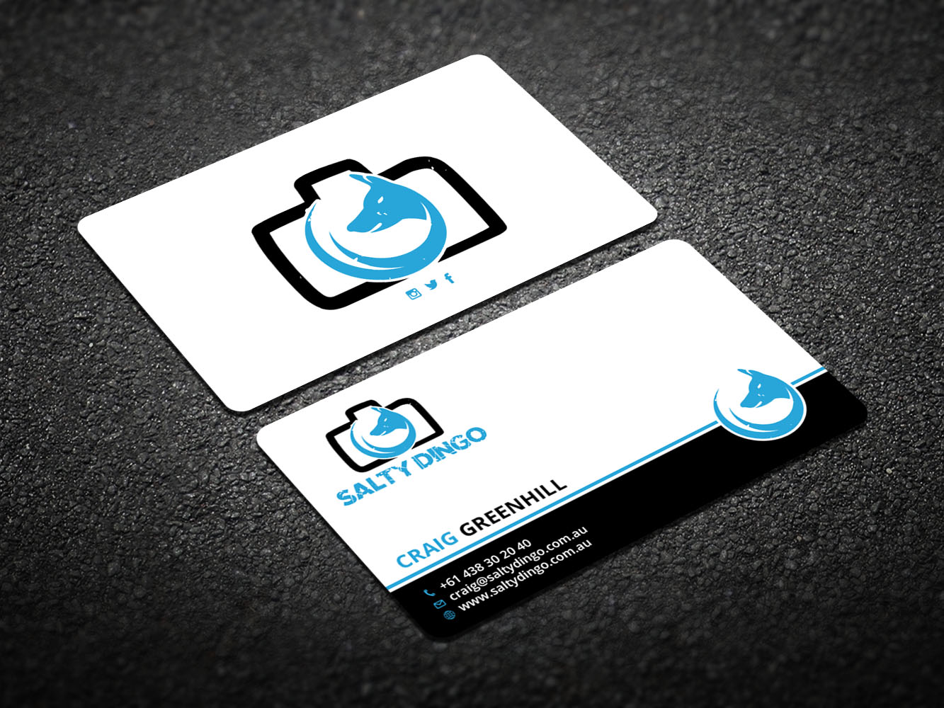 Diseño de Tarjeta de Presentación por Verified artistry para Salty Dingo | Diseño #10105792