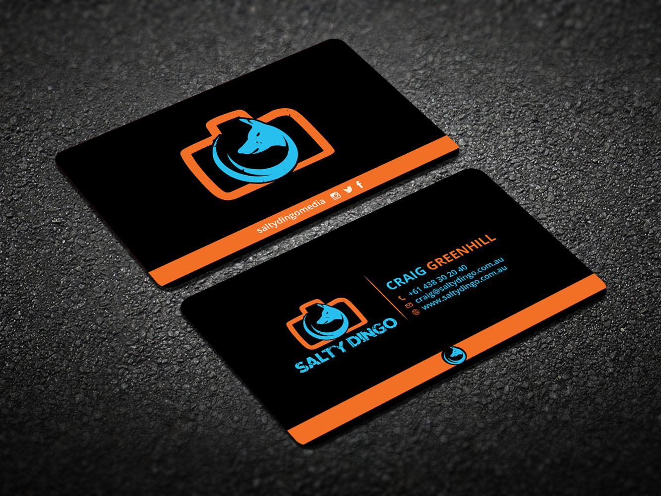 Diseño de Tarjeta de Presentación por Verified artistry para Salty Dingo | Diseño #10141884