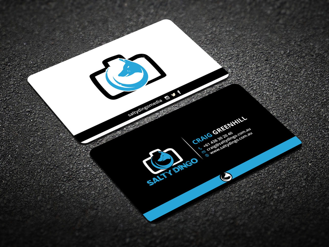 Diseño de Tarjeta de Presentación por Verified artistry para Salty Dingo | Diseño #10141889