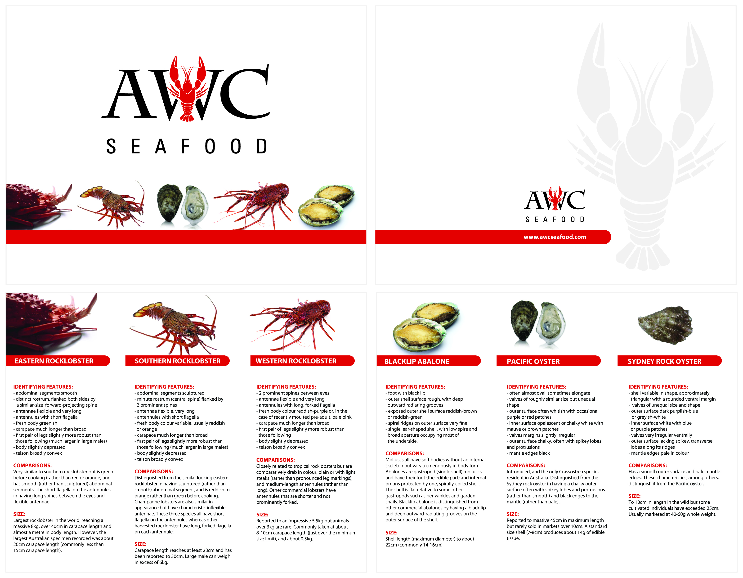 Logo Design by bc21 for this project | Design #10236594