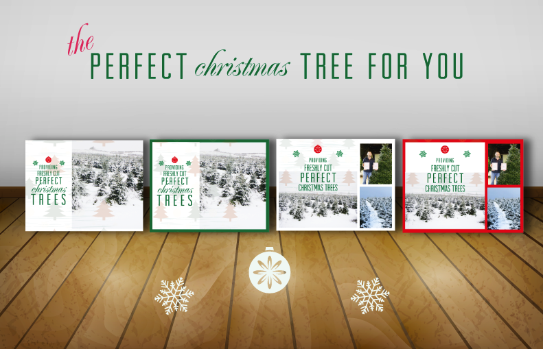 Postcard Design by schk for gower fresh christmas trees | Design #10113640