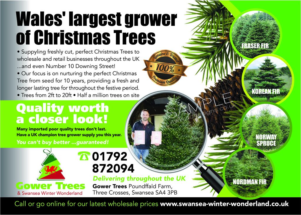 Postcard Design by the artworks for gower fresh christmas trees | Design #10145233