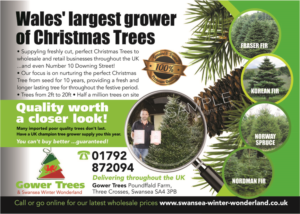 Postcard Design by the artworks for gower fresh christmas trees | Design #10145233