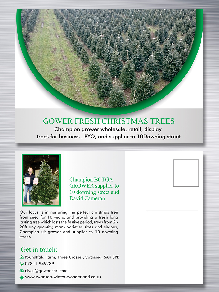 Retail Postcard Design for gower fresh christmas trees by ESolz