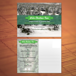 Postcard Design by Creative P