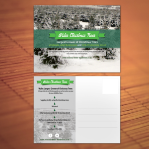 Diseño de Postal por Creative P para gower fresh christmas trees | Diseño: #10174935