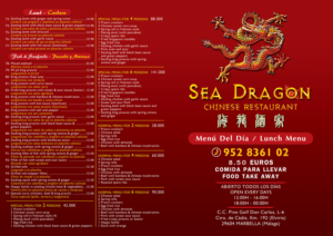 Flyer Design by - SWING - for DRAGON DEL MAR | Design: #10195007