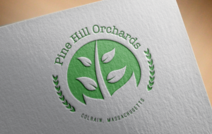 Logo Design by TheInspiredEyeGraphics for this project | Design: #10114177