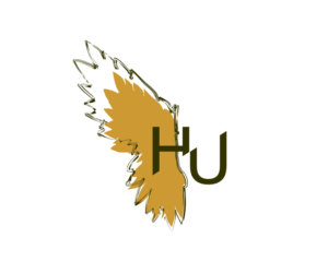 Logo Design by Aru Datu