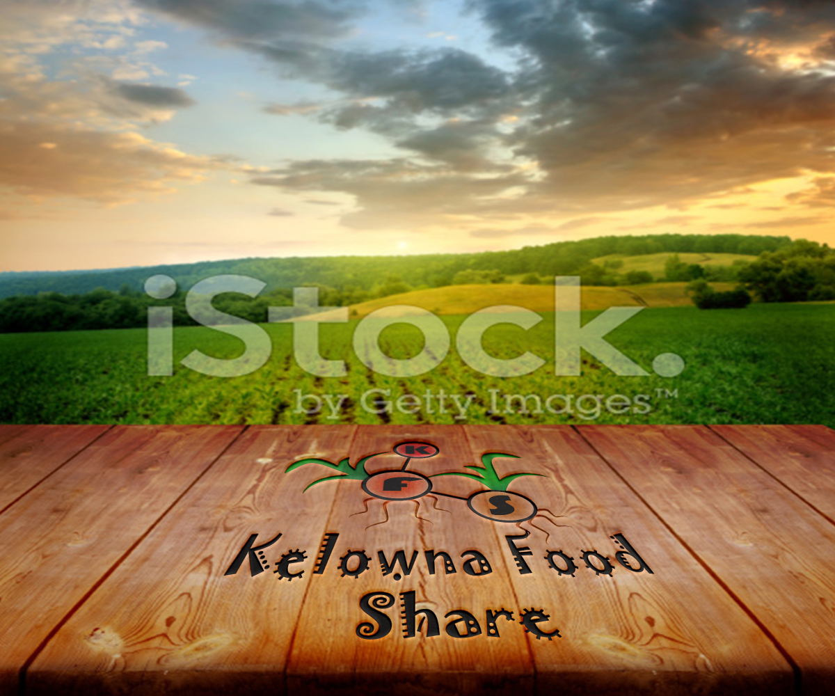 Logo Design by sacheerc for this project | Design #10121476