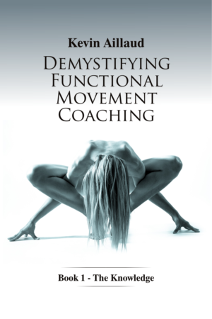 Book Cover Design by nemanadesign