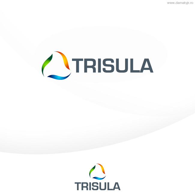 Diseño de Logo por damakyjr para este proyecto | Diseño #457157