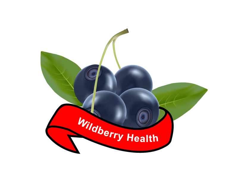 Logo Design by EGYPT KING for Wildberry Health Inc. | Design #10248186