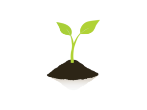 Logo Design by Elite Fox for this project | Design #10120957