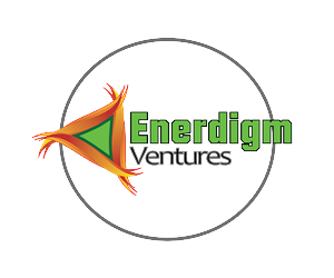 Diseño de Logo por muffymostly para Enerdigm Ventures | Diseño: #2175590