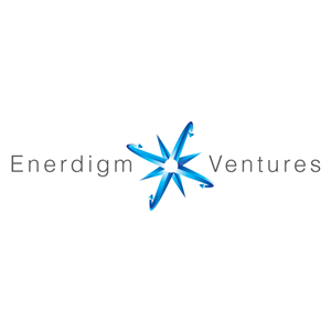 Logo Design by pixel for Enerdigm Ventures | Design #2181667