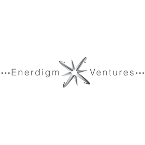 Logo Design by pixel for Enerdigm Ventures | Design: #2181678