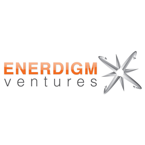 Logo Design by pixel for Enerdigm Ventures | Design: #2181682