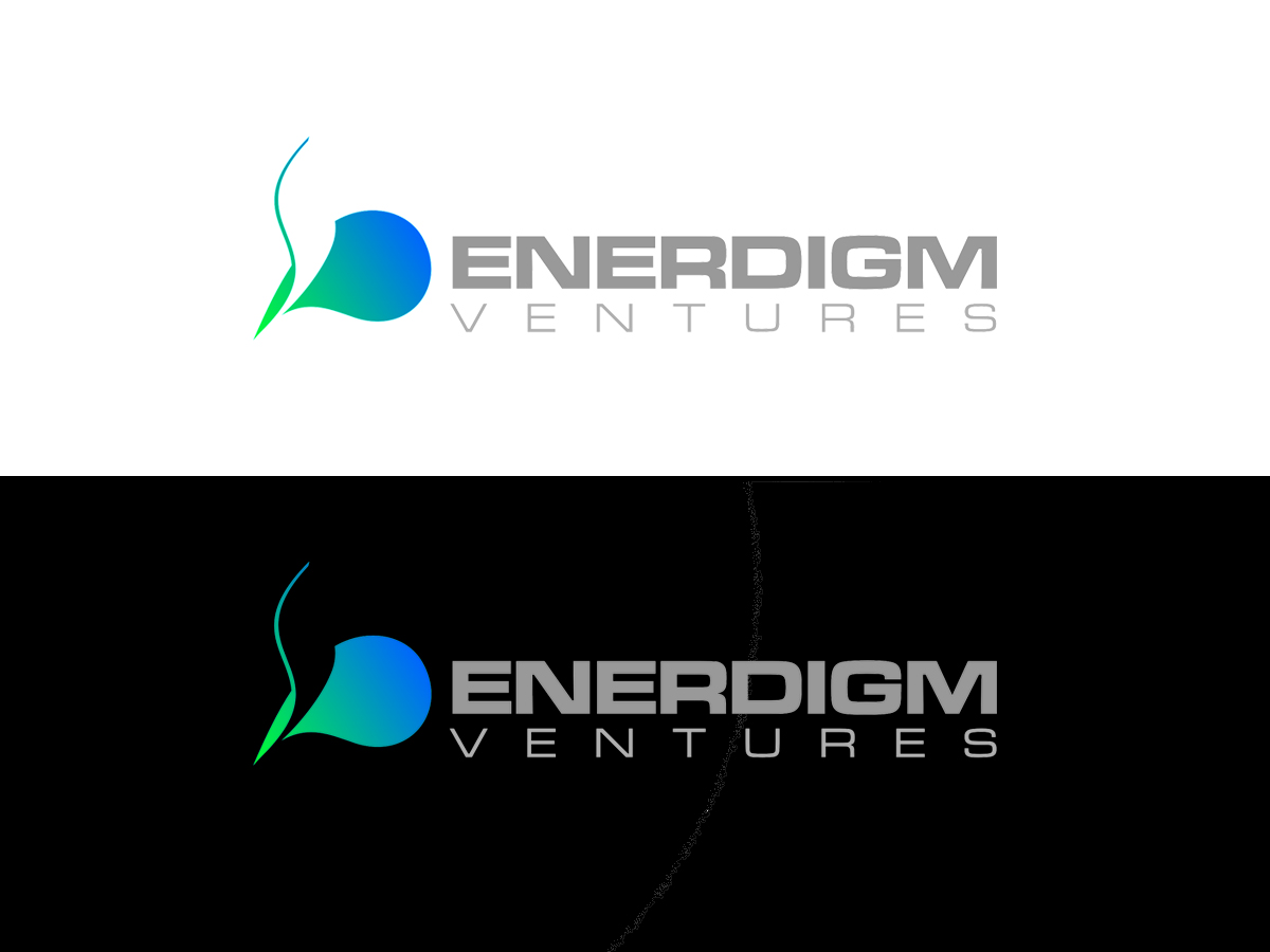 Logo Design by vladst2004 for Enerdigm Ventures | Design #2153941
