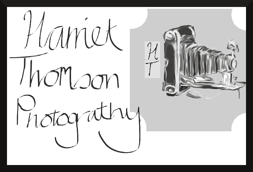 Logo Design by kayleighmcardle for this project | Design #441603