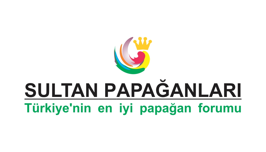 Logo Design by Alireza Mirzaei for this project | Design #10208098