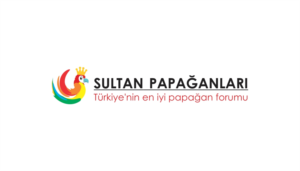 Logo Design by Alireza Mirzaei