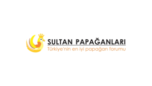 Logo Design by Alireza Mirzaei for this project | Design: #10242232