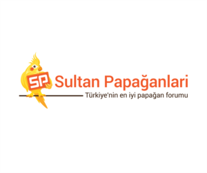 Logo Design by chuan for this project | Design: #10203245