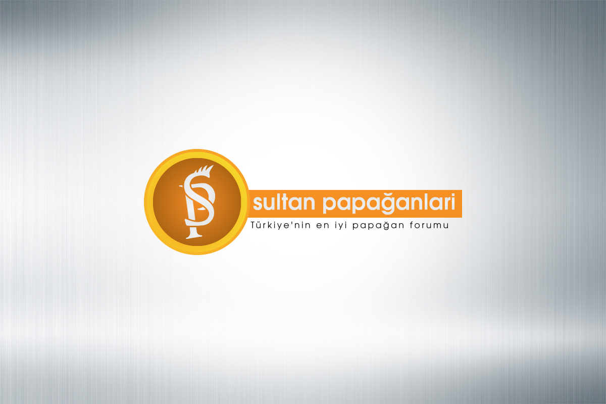 Logo Design by Ather Ali Khan for this project | Design #10261399