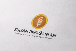 Design de Logo par Ather Ali Khan pour ce projet | Design : #10261530