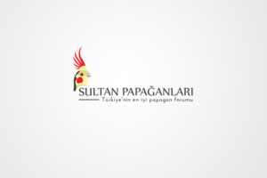 Logo Design by MarkDesign for this project | Design #10247030