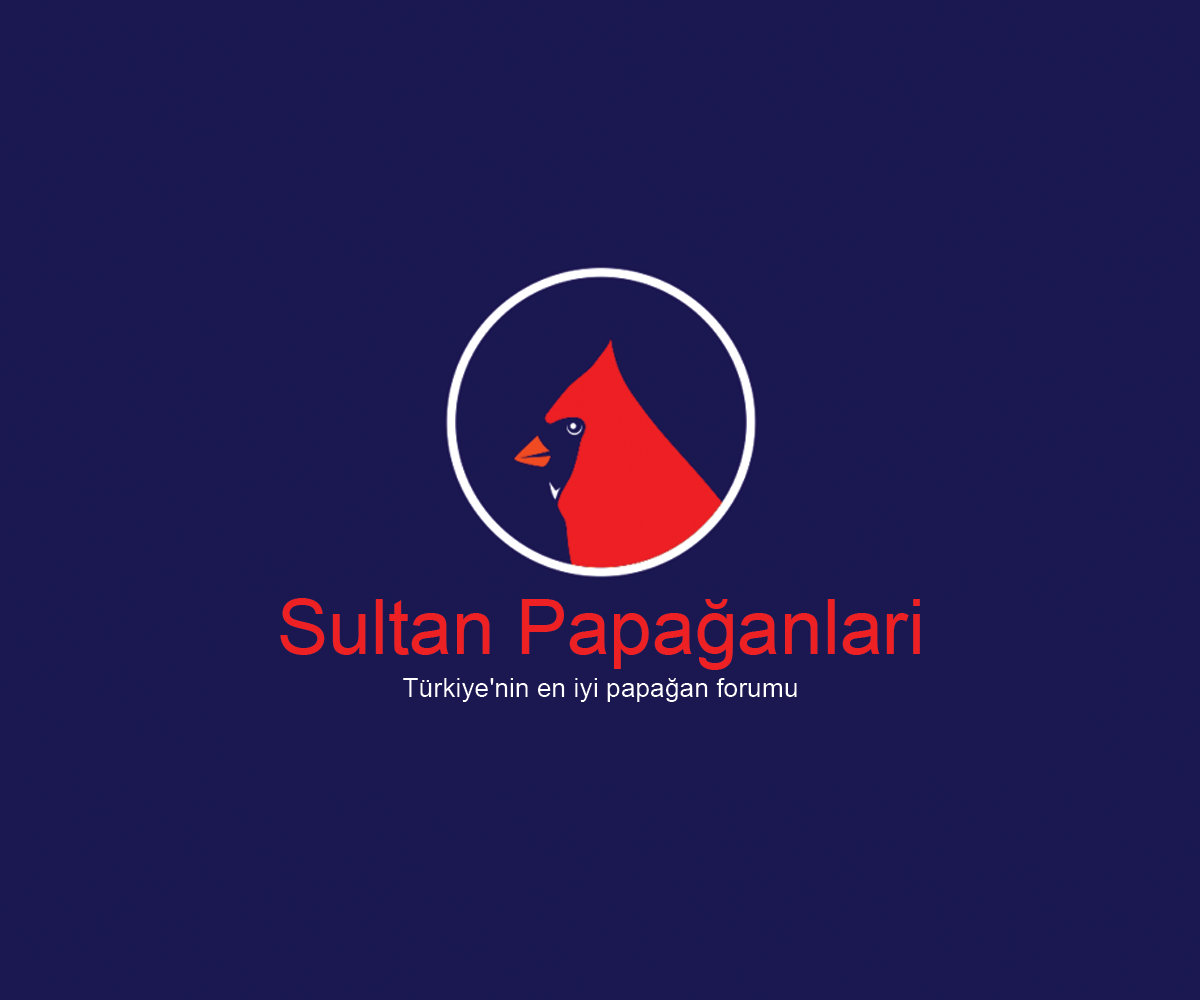 Logo Design by Navneet Singh for this project | Design #10262836