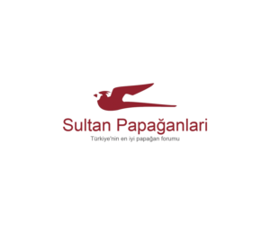 Logo Design by Navneet Singh for this project | Design: #10262939