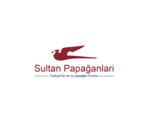 Logo Design by Navneet Singh for this project | Design: #10262940