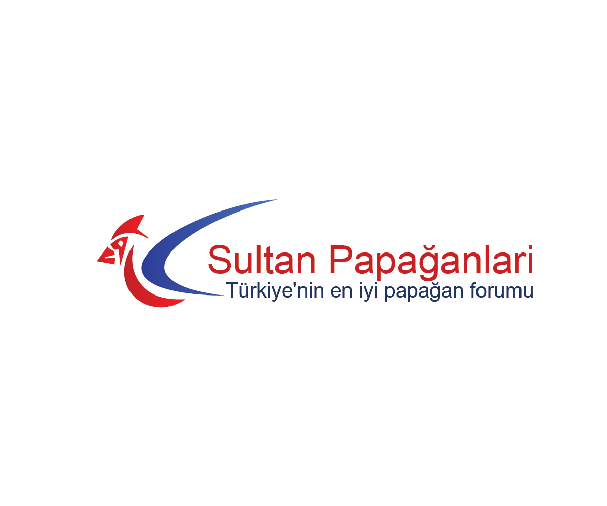 Logo Design by Navneet Singh for this project | Design #10262955