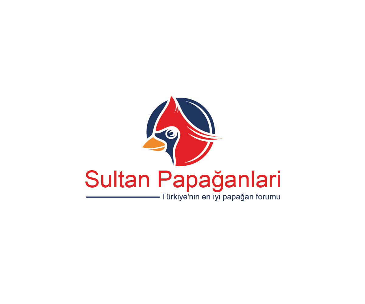 Logo Design by Navneet Singh for this project | Design #10262958