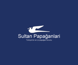 Logo Design by Navneet Singh for this project | Design: #10263009