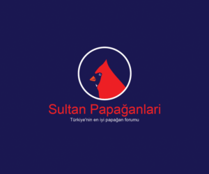 Logo Design by Navneet Singh for this project | Design: #10263012