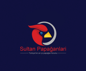 Logo Design by Navneet Singh for this project | Design: #10263013