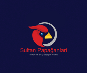 Logo Design by Navneet Singh for this project | Design: #10263014