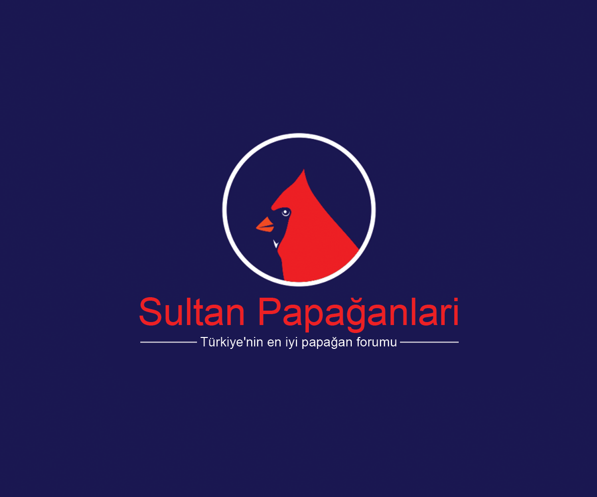 Logo Design by Navneet Singh for this project | Design #10263015