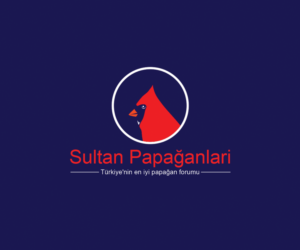 Logo Design by Navneet Singh for this project | Design: #10263015