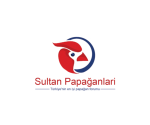 Logo Design by Navneet Singh for this project | Design: #10263018