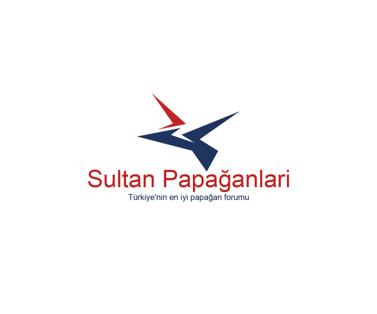 Design de Logo par Navneet Singh pour ce projet | Design #10263019