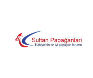 Logo Design by Navneet Singh for this project | Design: #10263022