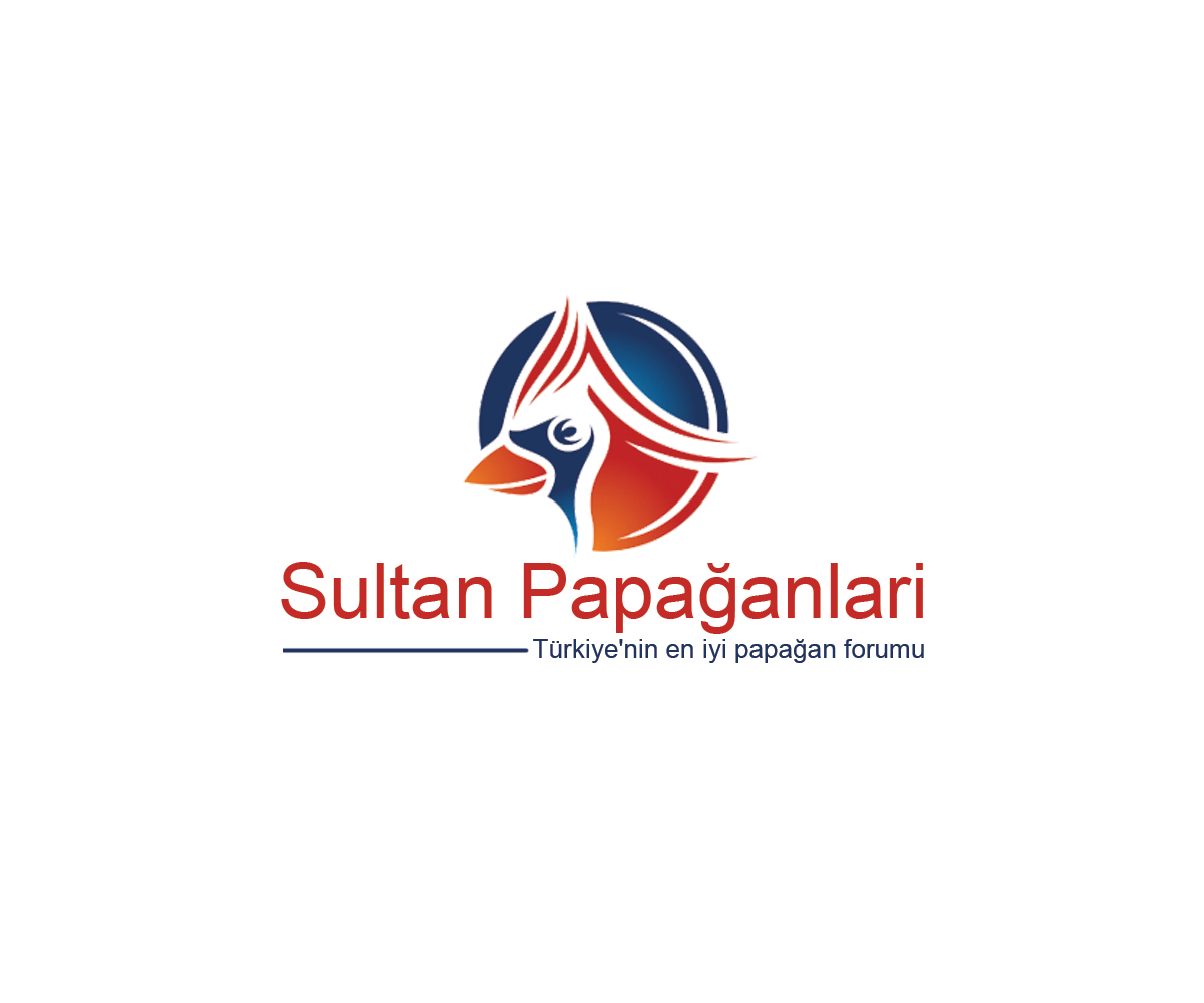Logo Design by Navneet Singh for this project | Design #10263023