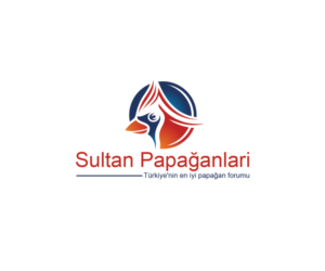 Logo Design by Navneet Singh for this project | Design: #10263023