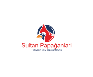 Logo Design by Navneet Singh for this project | Design: #10263025