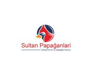 Logo Design by Navneet Singh for this project | Design: #10263026